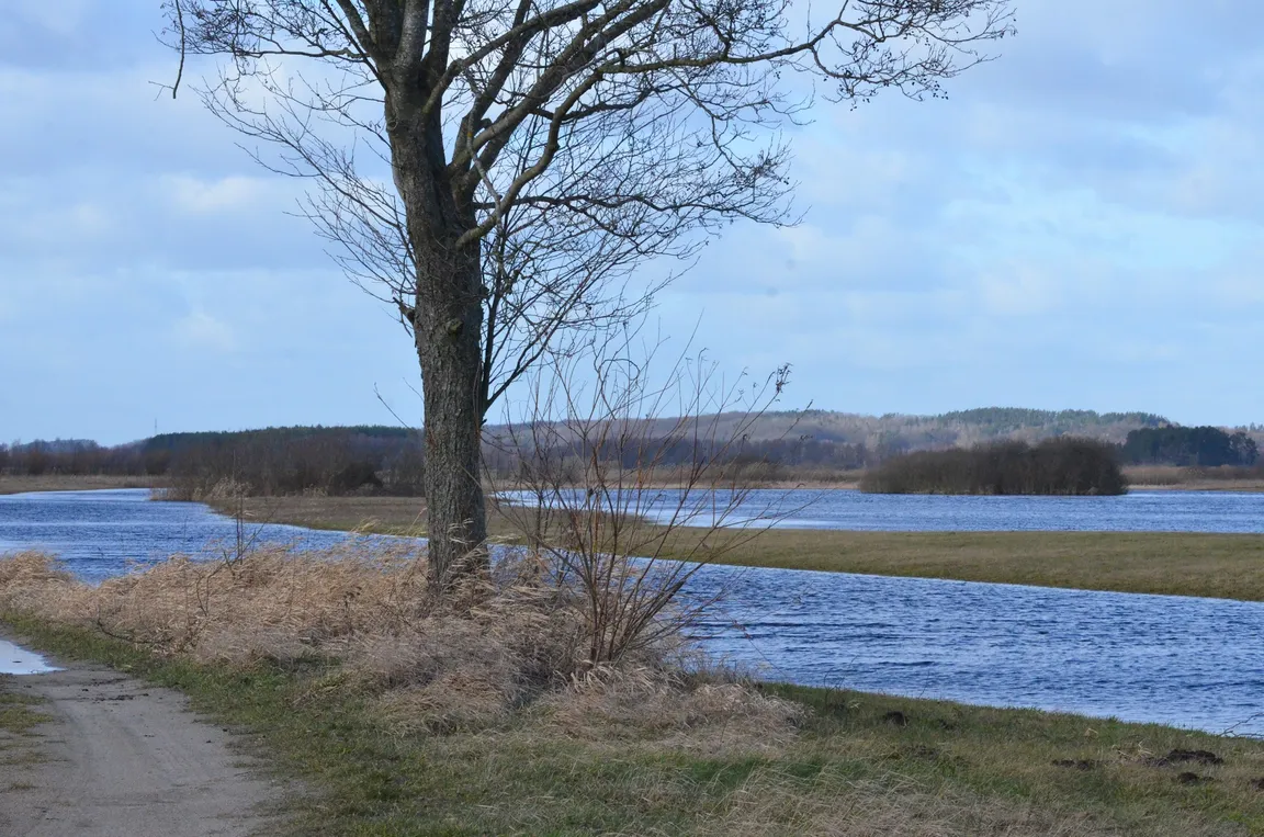 Łomżyński Park Krajobrazowy Doliny Narwi