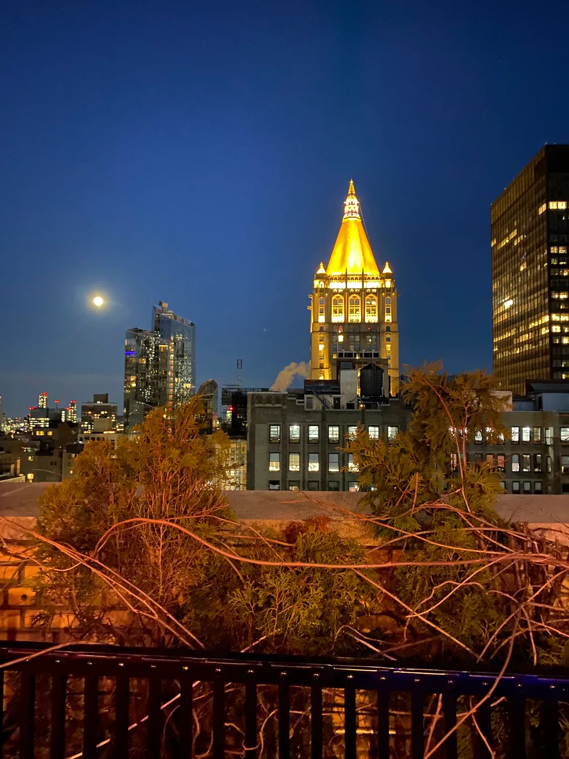 230 Fifth Rooftop Bar