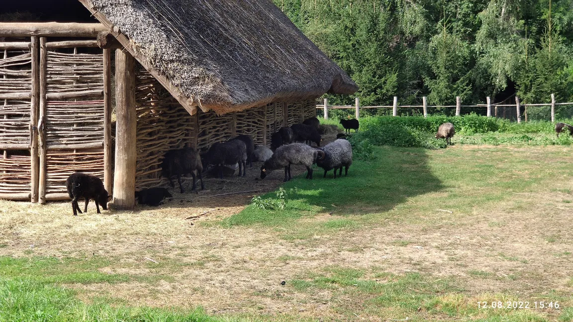 Wioska wczesnopiastowska
