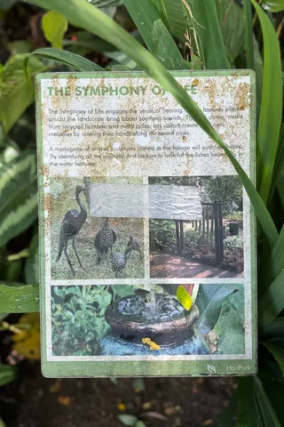 Therapeutic Garden @ HortPark
