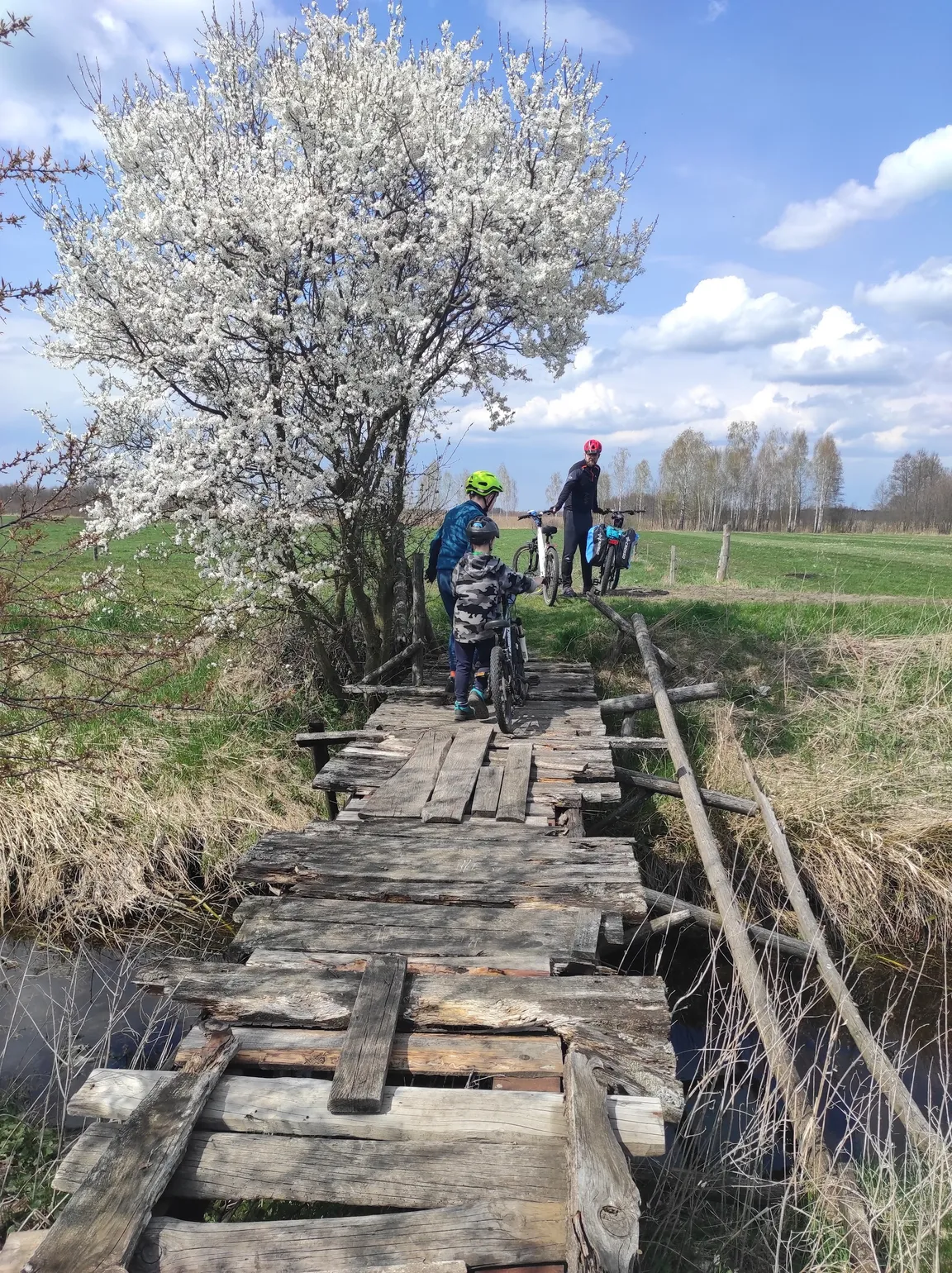 Leśna ścieżka rowerowa ,,Jezioro Krusko''