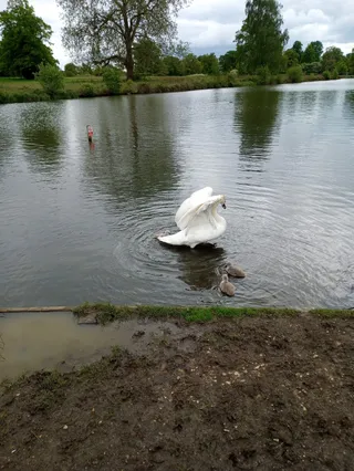 Langley Park Country Park