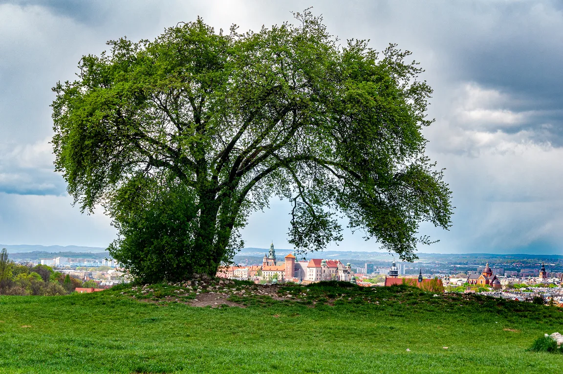 Kopiec Kraka
