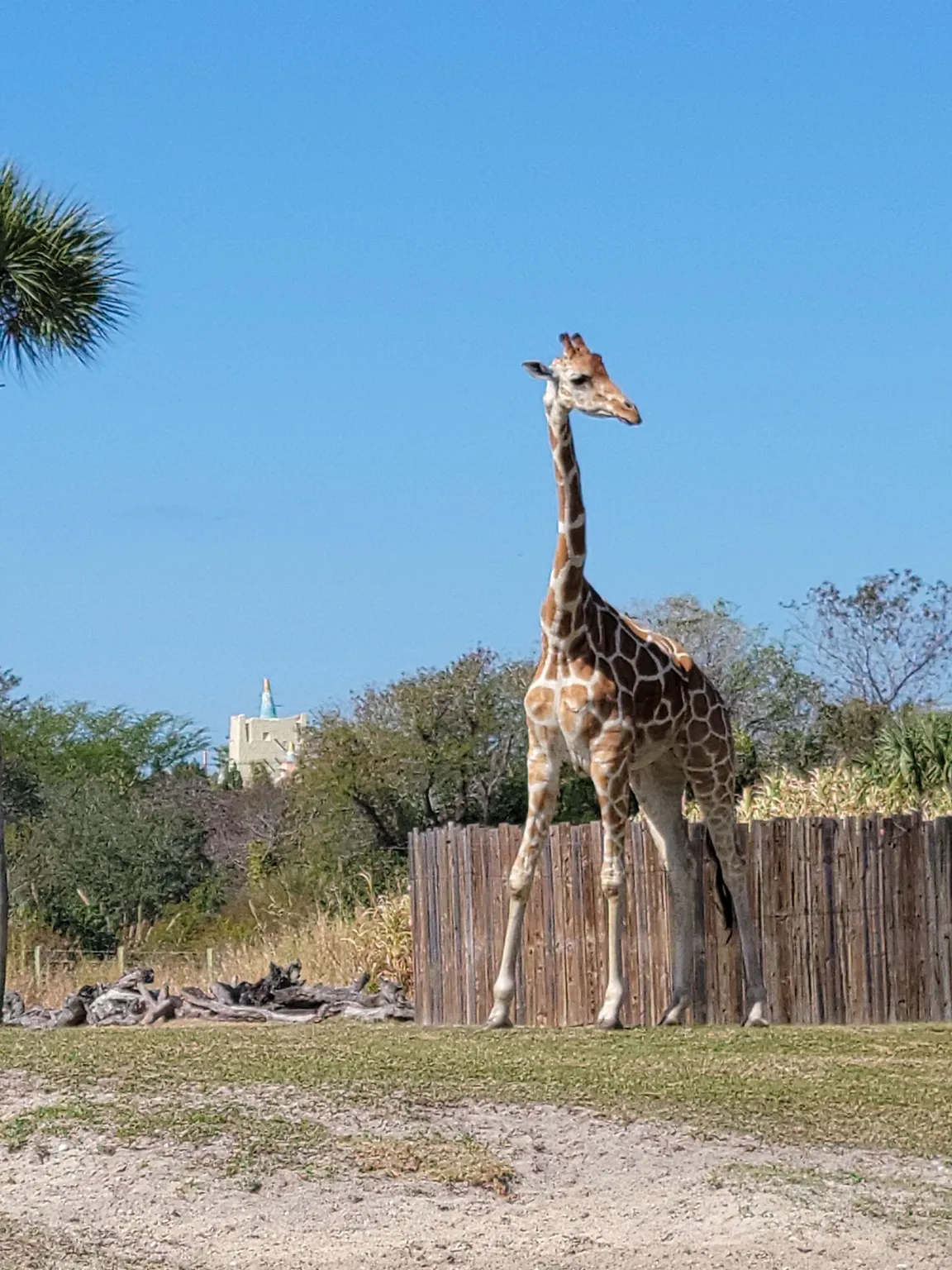 Busch Gardens Tampa Bay
