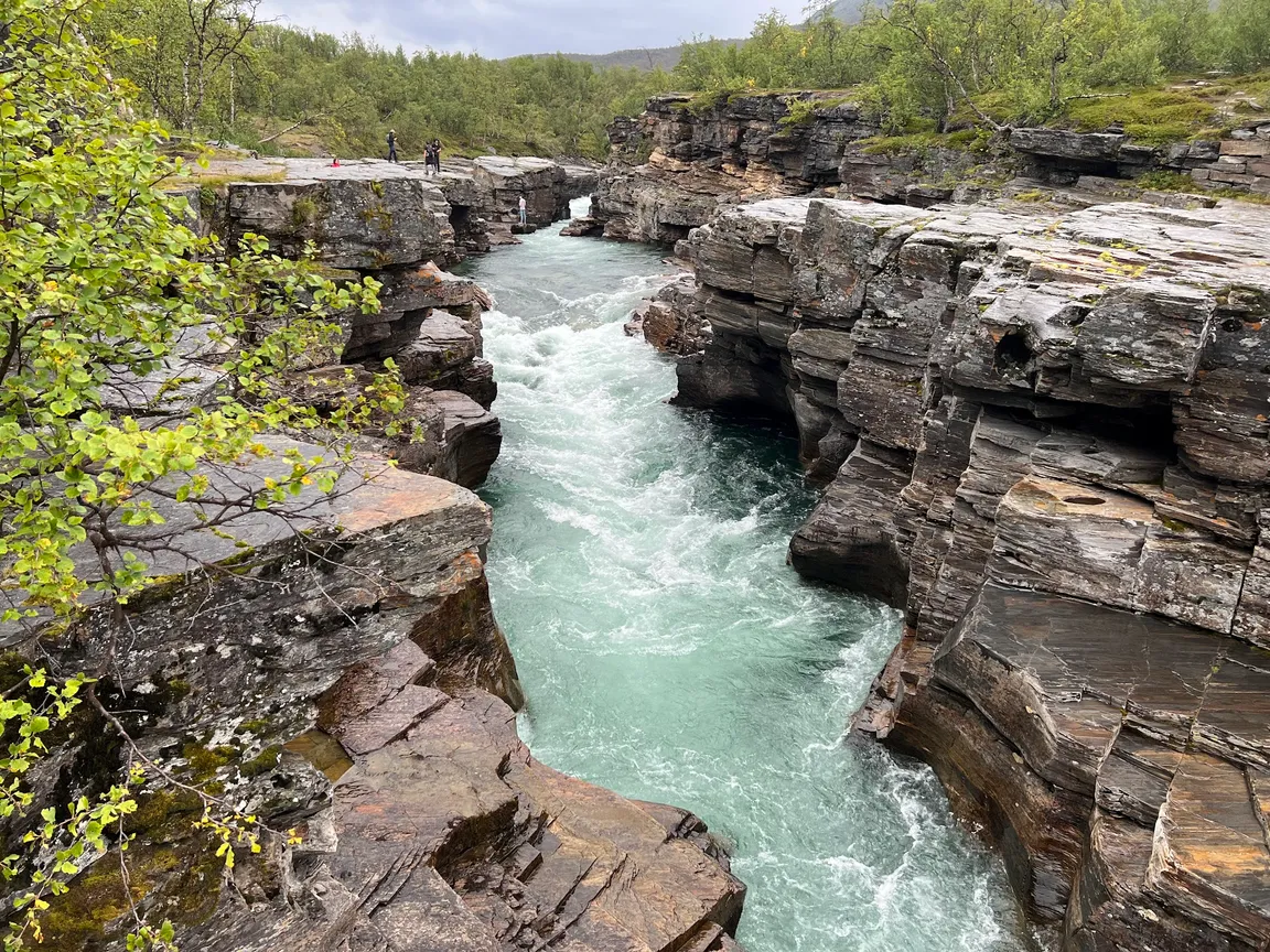Park Narodowy Abisko