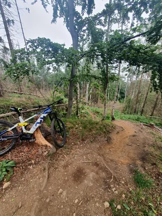 Trailpark Harz