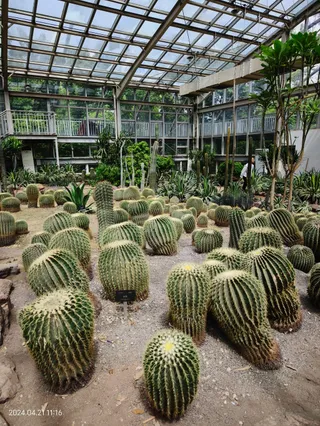Chengdu City Plant Park