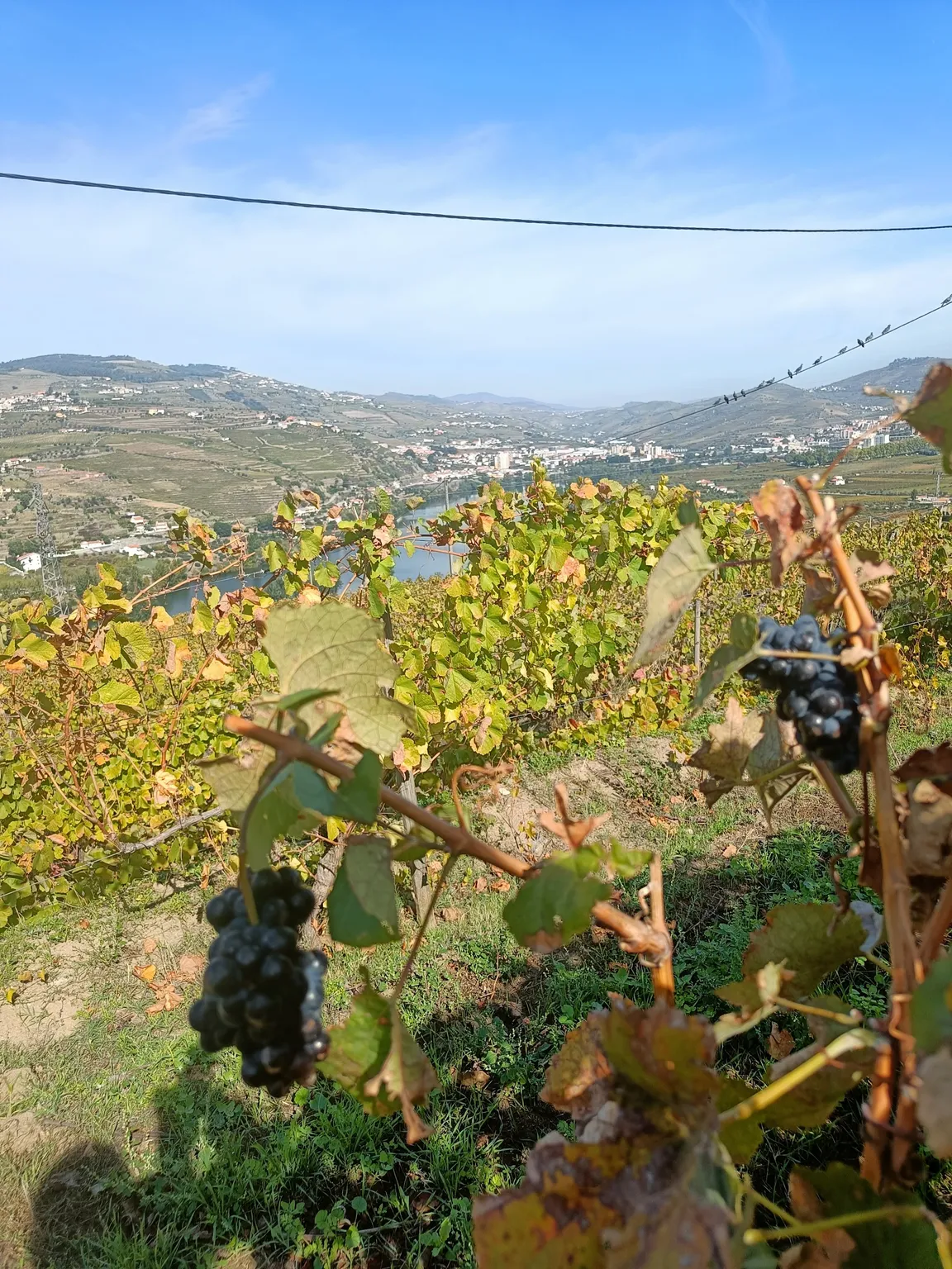 Quinta do Mourão