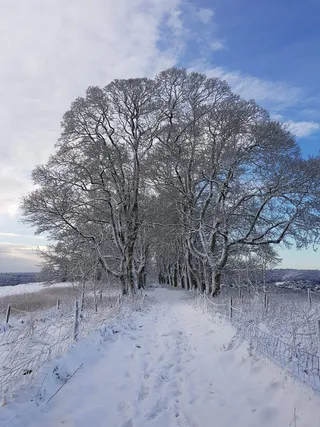 Downham Hill