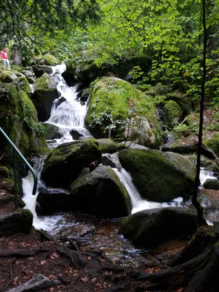 Wiedenfelsen über Bühlertal
