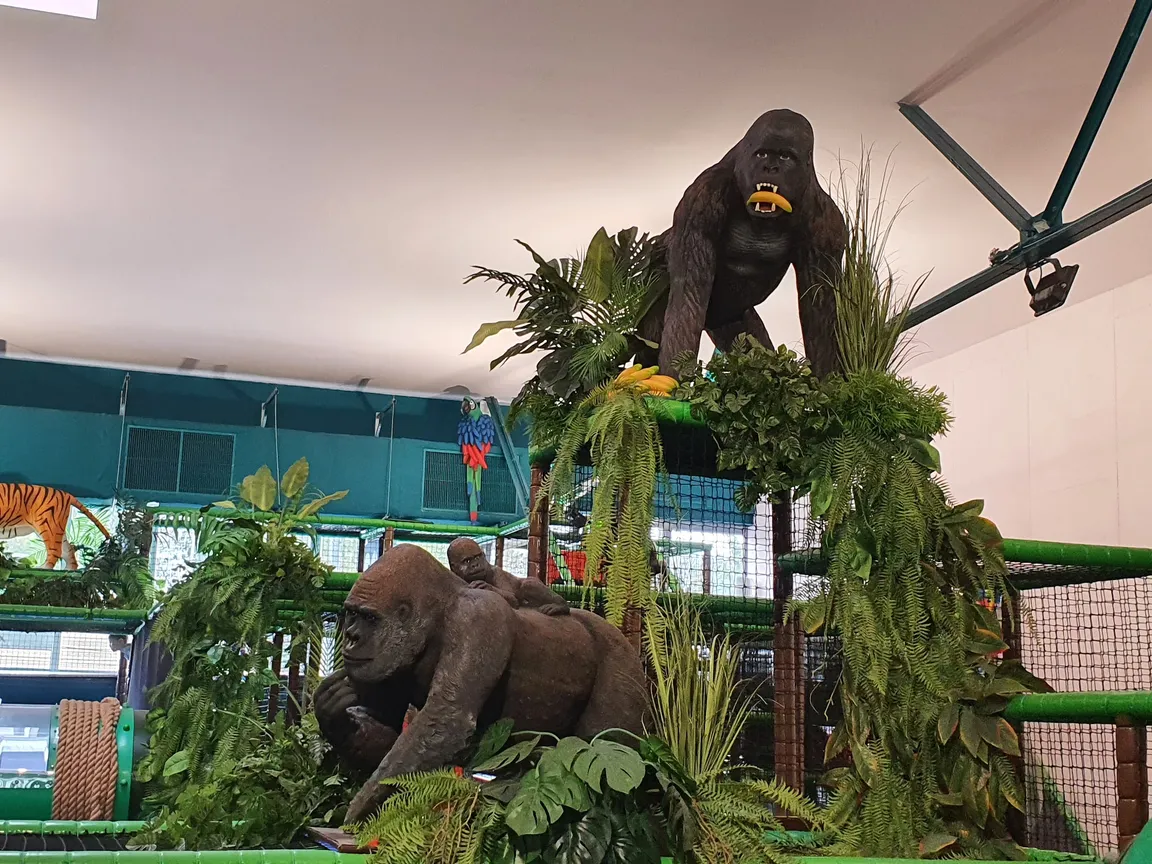 JUNGLE ACADEMY,