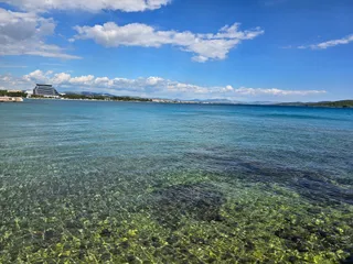 Dog Beach
