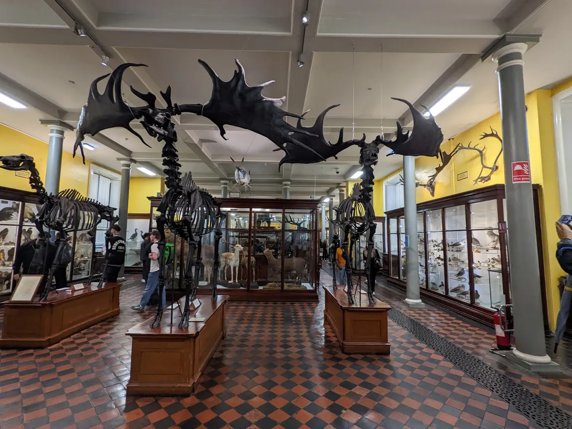 National Museum of Ireland - Archaeology
