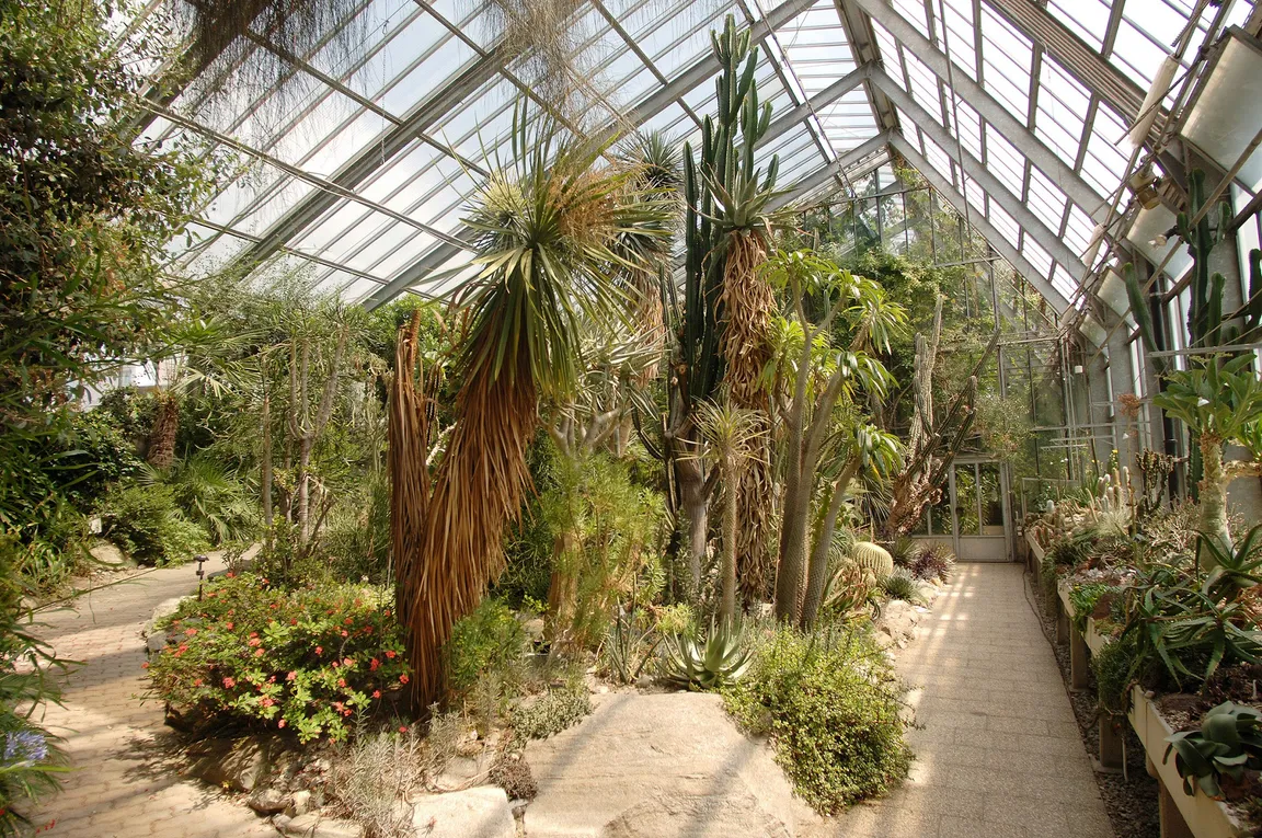 Innsbruck University Botanical Garden