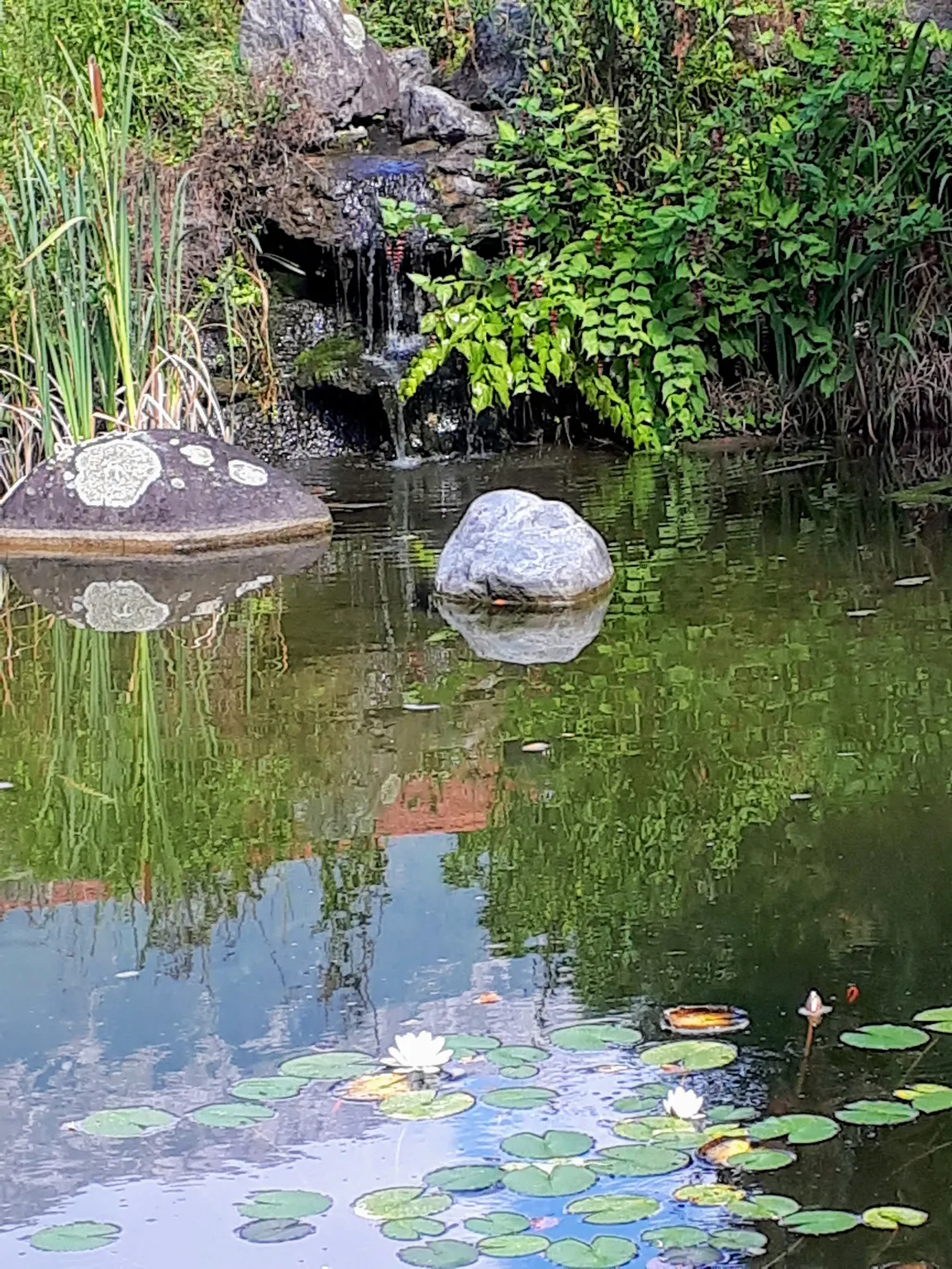 Innsbruck University Botanical Garden