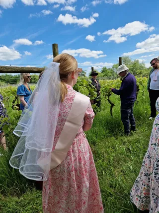 Quoins Organic Vineyard
