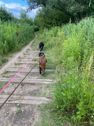 Ścieżka dawną trasą kolejki