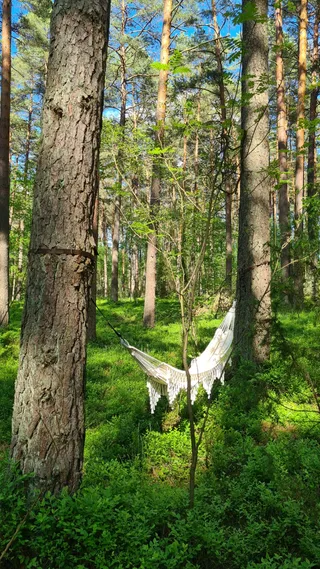 Kaluna Glamp