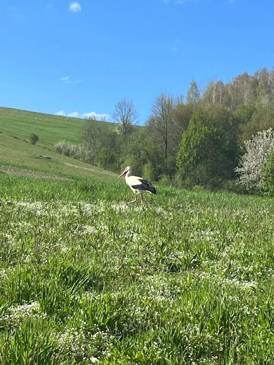 Osada pod Baliszczami