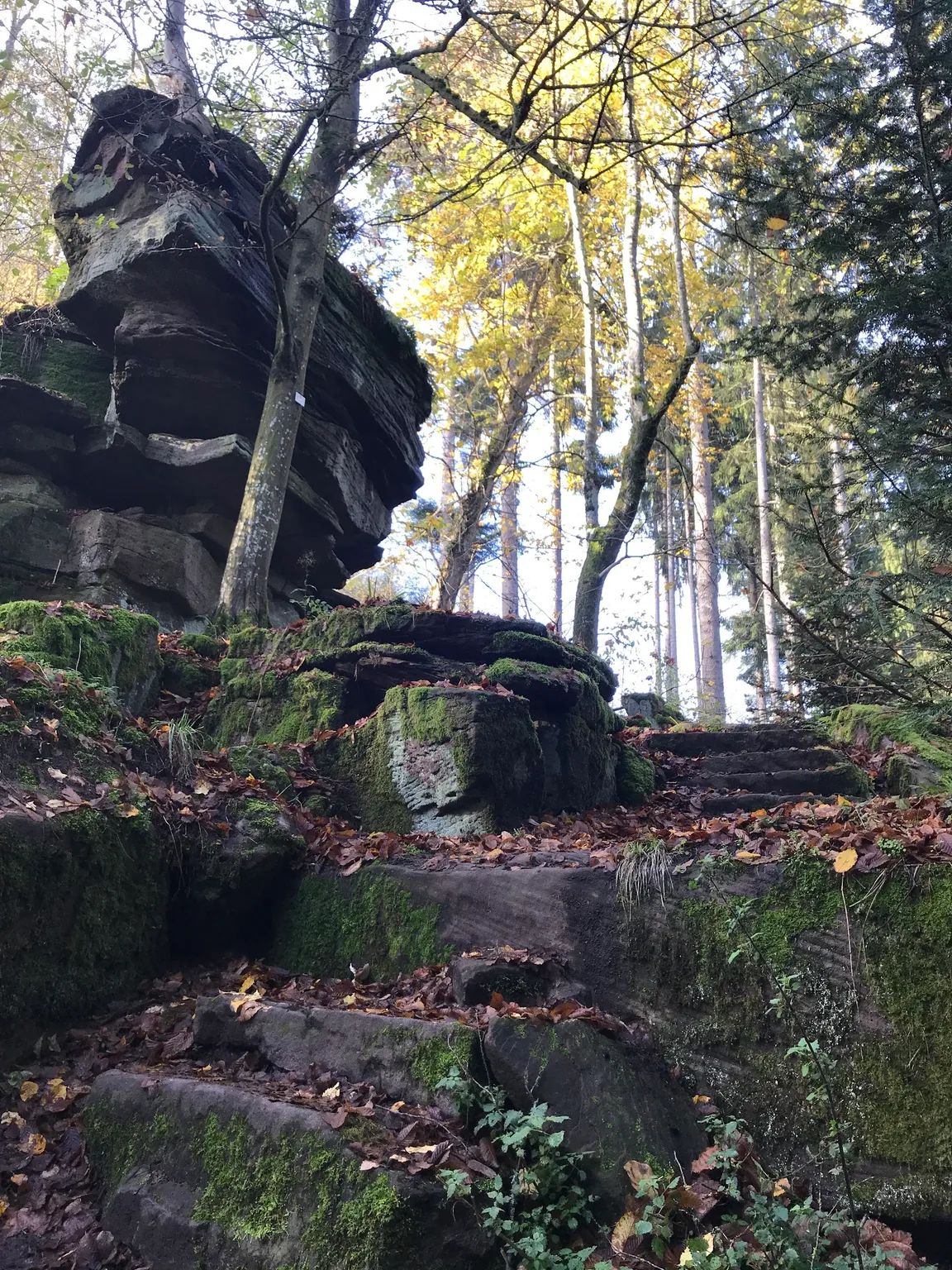 Rötelbachtal