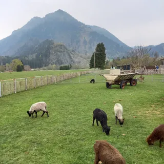 Burgberger Tierparadies mit Kafe Kult