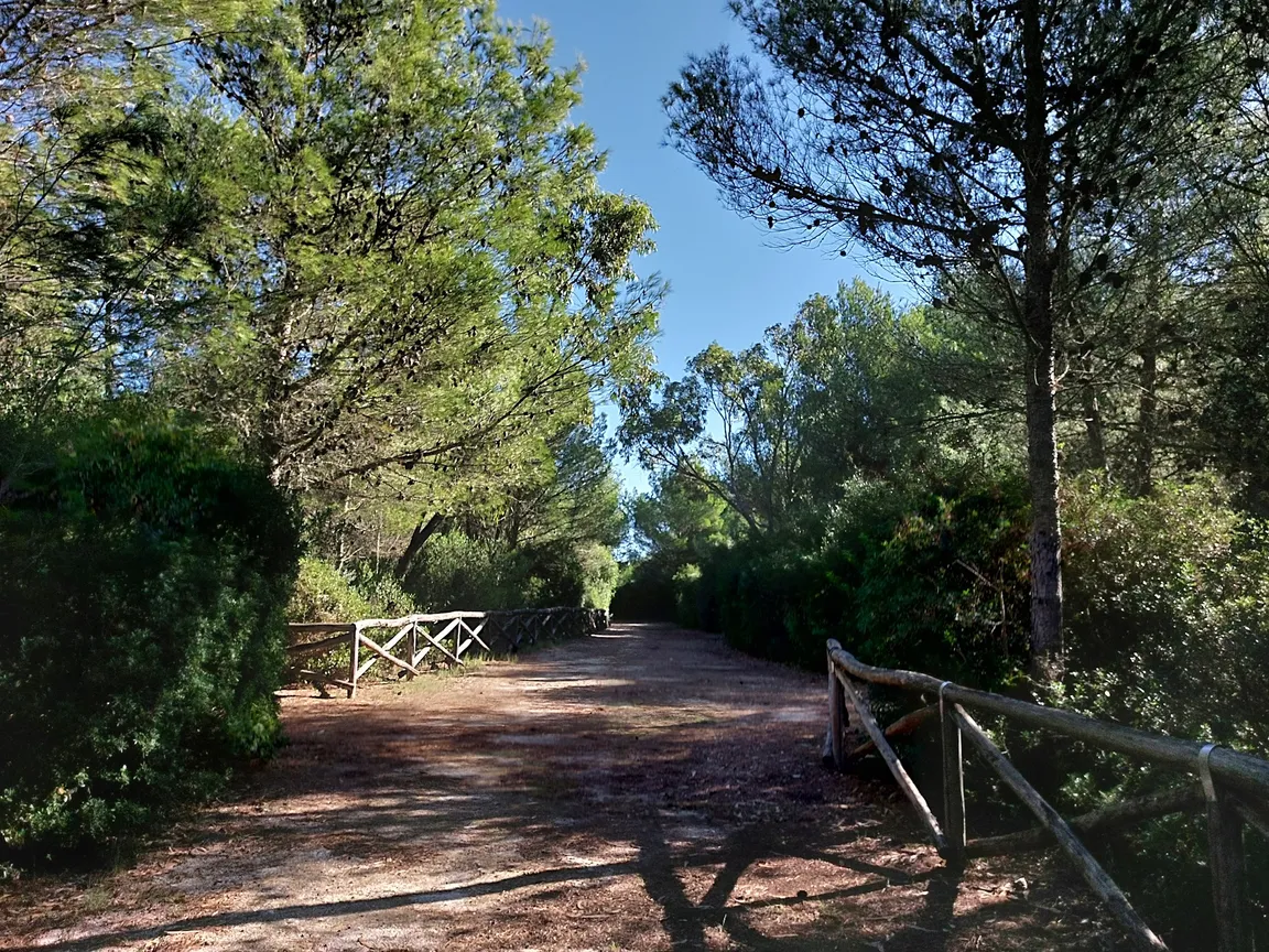 Riserva Naturale Le Cesine