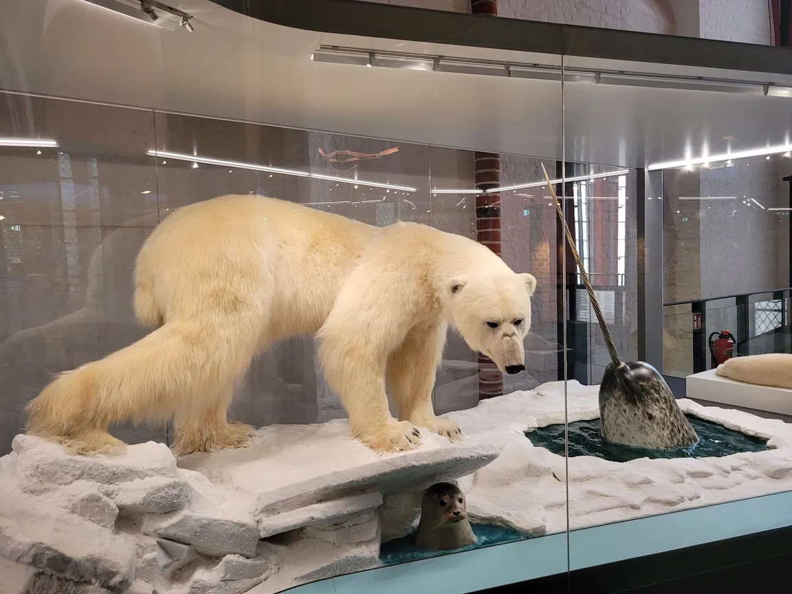 German Oceanographic Museum