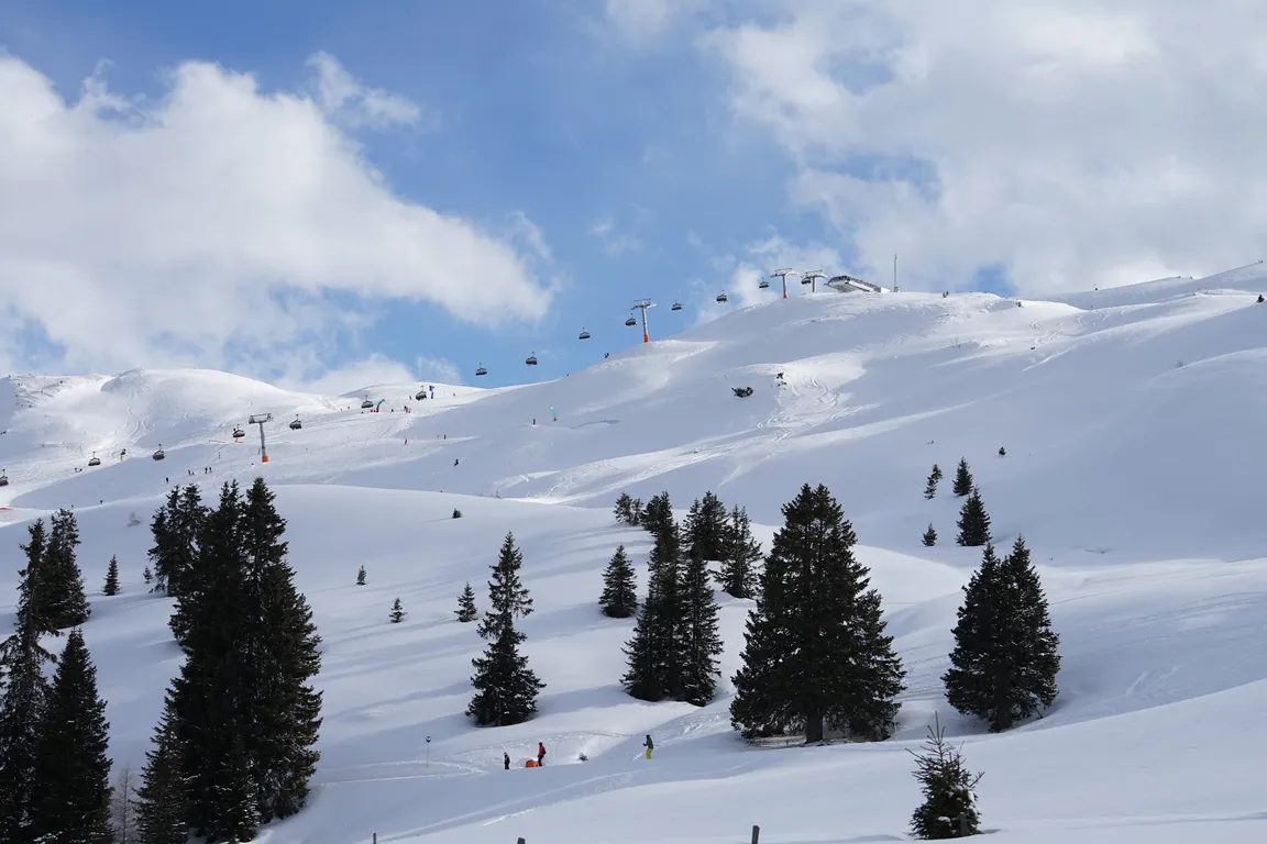 Racines Giovo