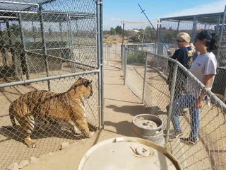 Forever Wild Exotic Animal Sanctuary