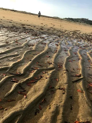 Kings Beach