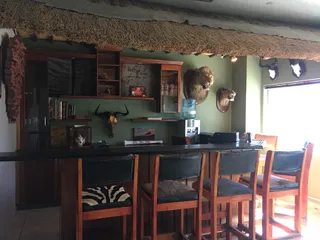 Nyati Wildlife Art CC