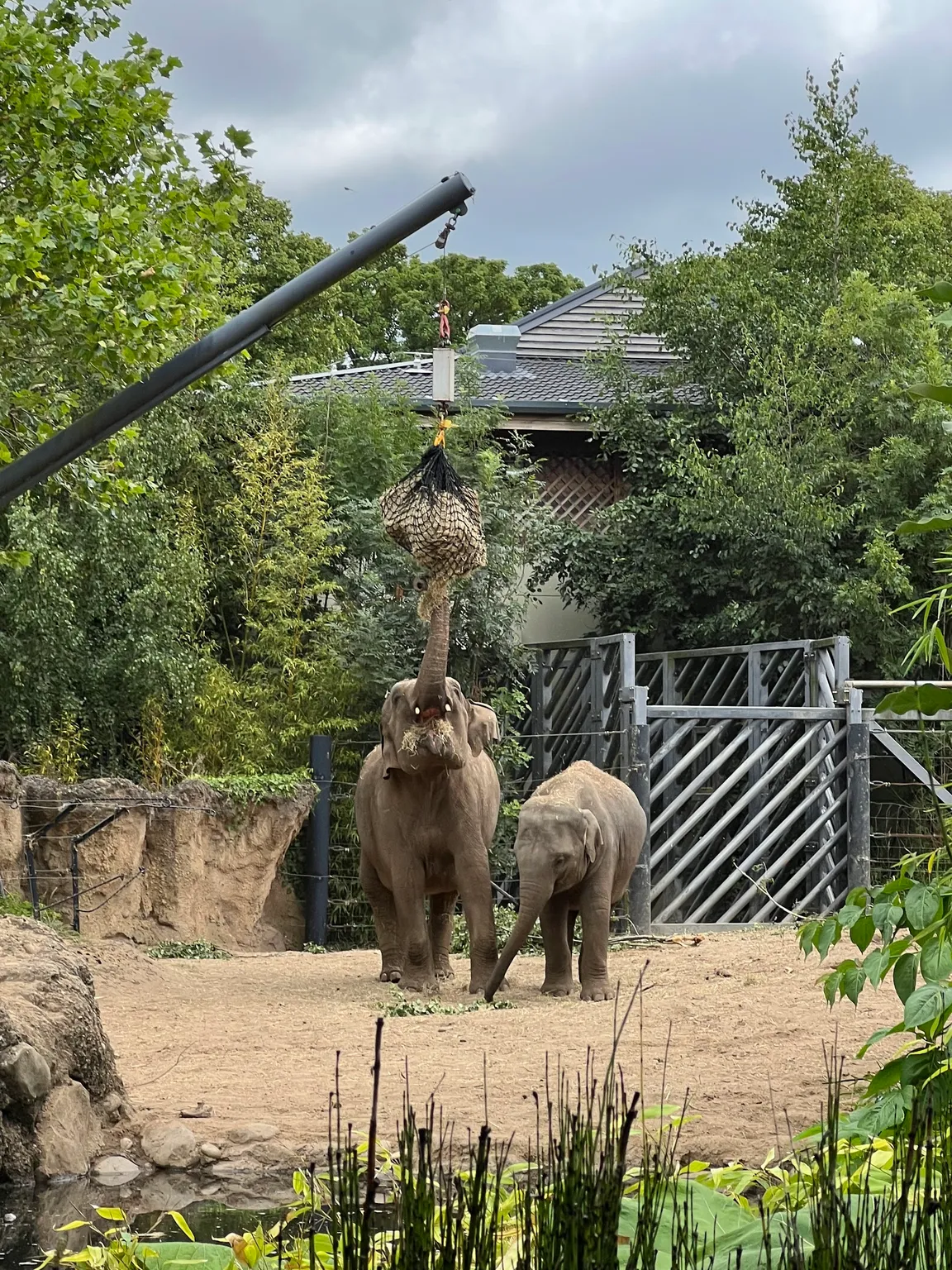Dublin Zoo