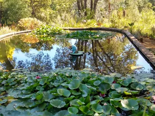 Abbotsbury Subtropical Gardens
