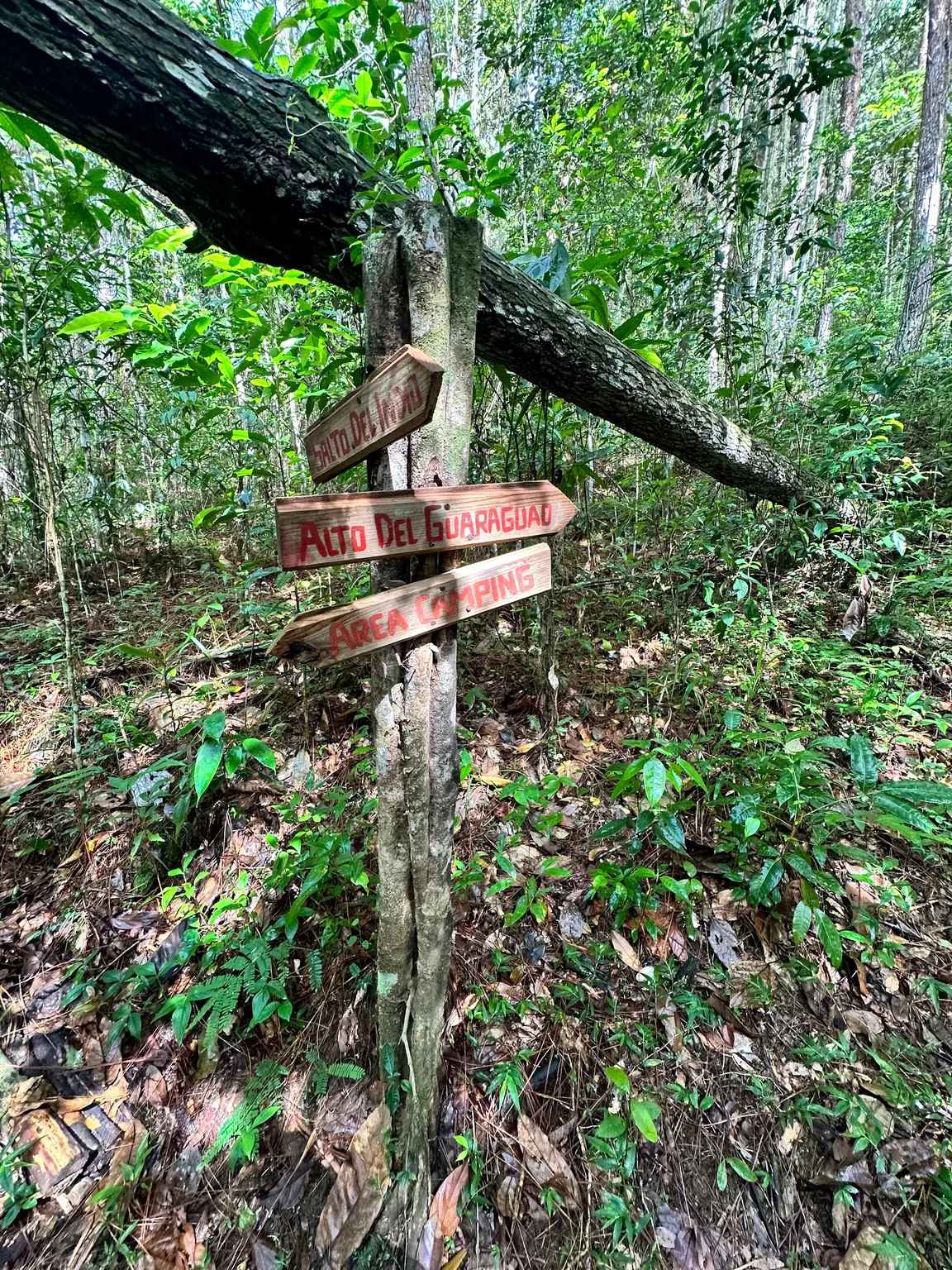 Eco-Aldea