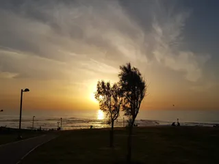 Midron Yaffo Park