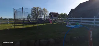 W ładnym polu n1