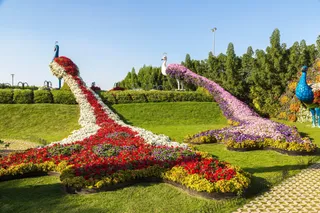 Park Narodowy Szardża
