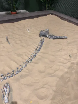 Dinopark