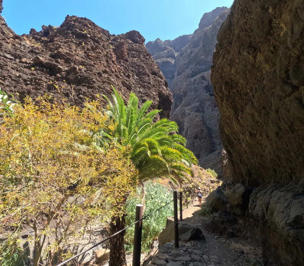 Barranco de Masca