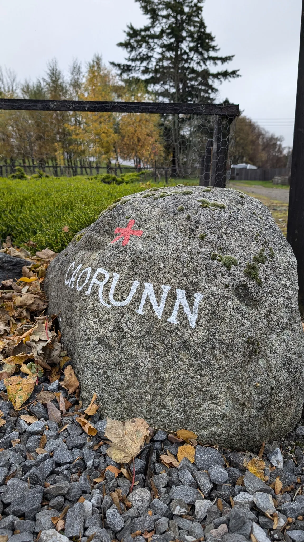 Balmenach Distillery, home of Caorunn Gin