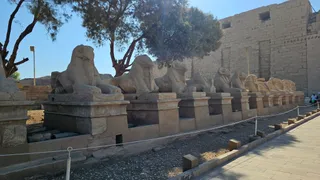 Zakharious Tours ( Hurghada Ausflüge Privat | Ausflüge in Ägypten )