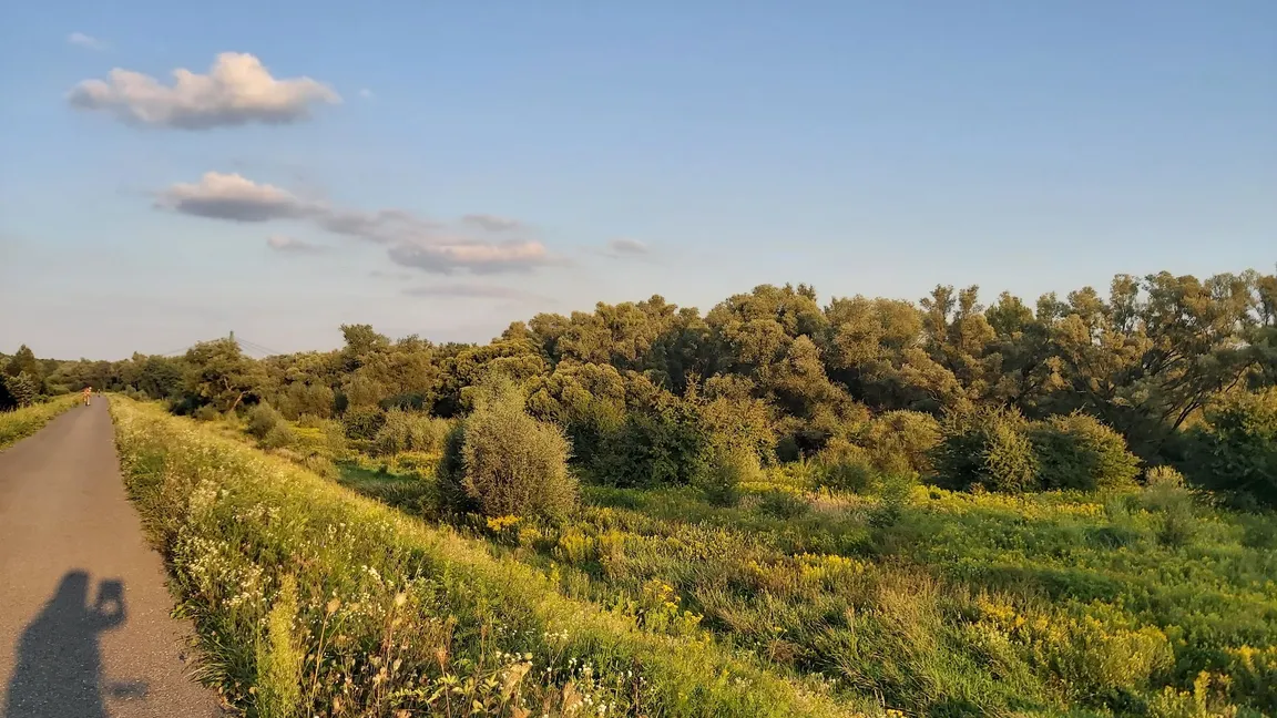Bielańsko-tyniecka północna trasa rowerowa w Krakowie