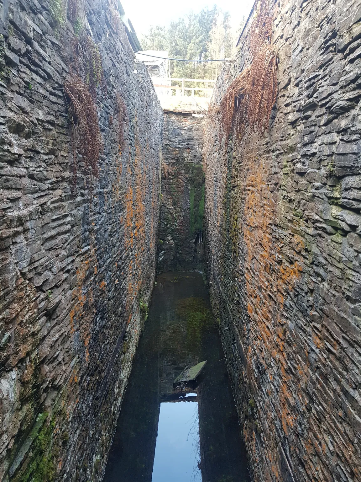 Silver Mountain Experience