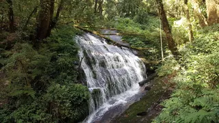 Kew Mae Pan nature trail