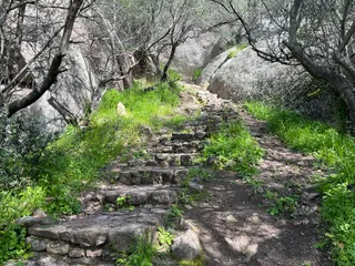 Castello di Pedres