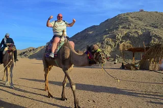 Egypt Hurghada Excursions Lovers - Luxor Day Trip, Cairo Pyramids Tour, Snorkeling, Diving, Quad Atv jeep Safari