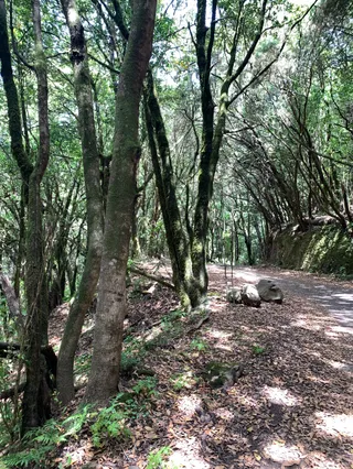 Monumento Natural de Los Roques