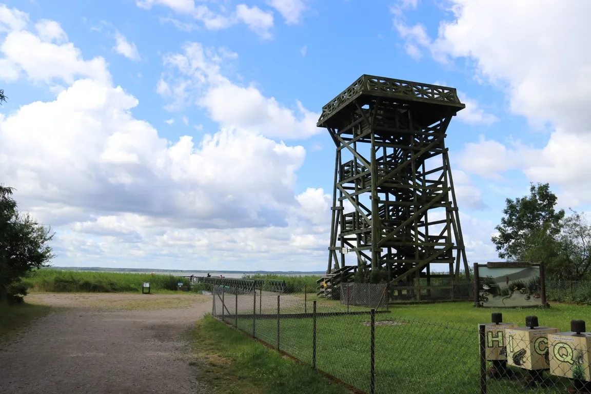 Wydma Łącka