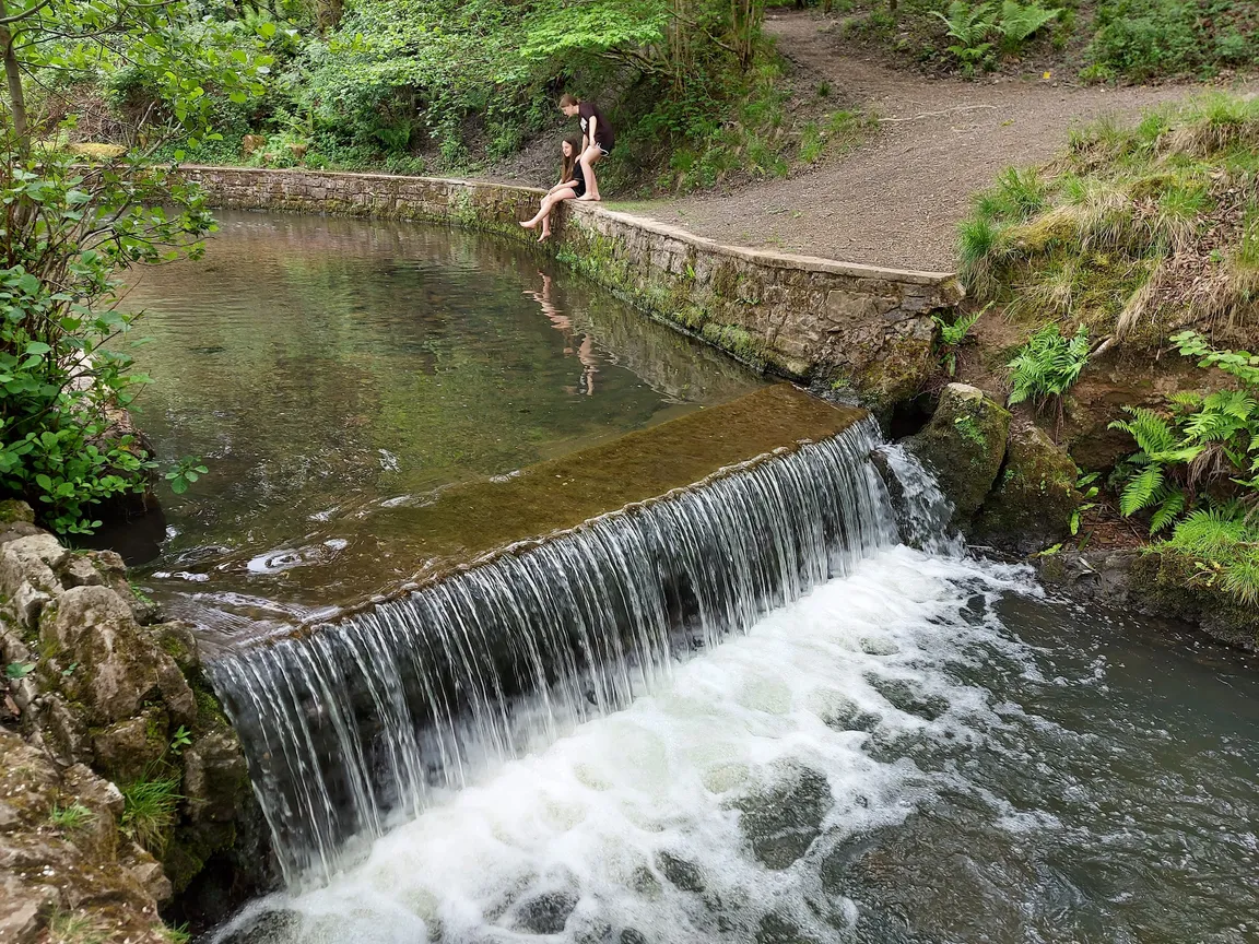 Cannop Ponds - Forestry England