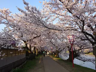 Hirosaki Castle West Moat